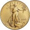 2023 1 oz American Gold Eagle Coin BU