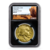 2024 1 oz American Gold Buffalo MS70 | NGC First Day of Issue Black Core