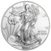 2002 American Silver Eagle Coin BU