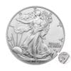 2024 SIlver Eagle Star Privy