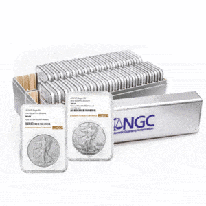 Full Set of Silver Eagles 1986-2025 MS69: Includes 2024 Star Privy and 2025 Eagle Privy